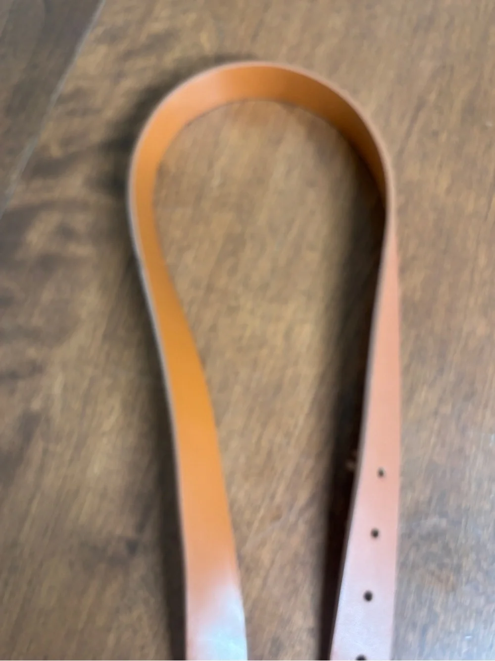Minimalist Tan Waist Belt with Round Gold Hardware